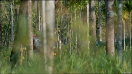 Perilloor Premier League - Season 01 Episode 03